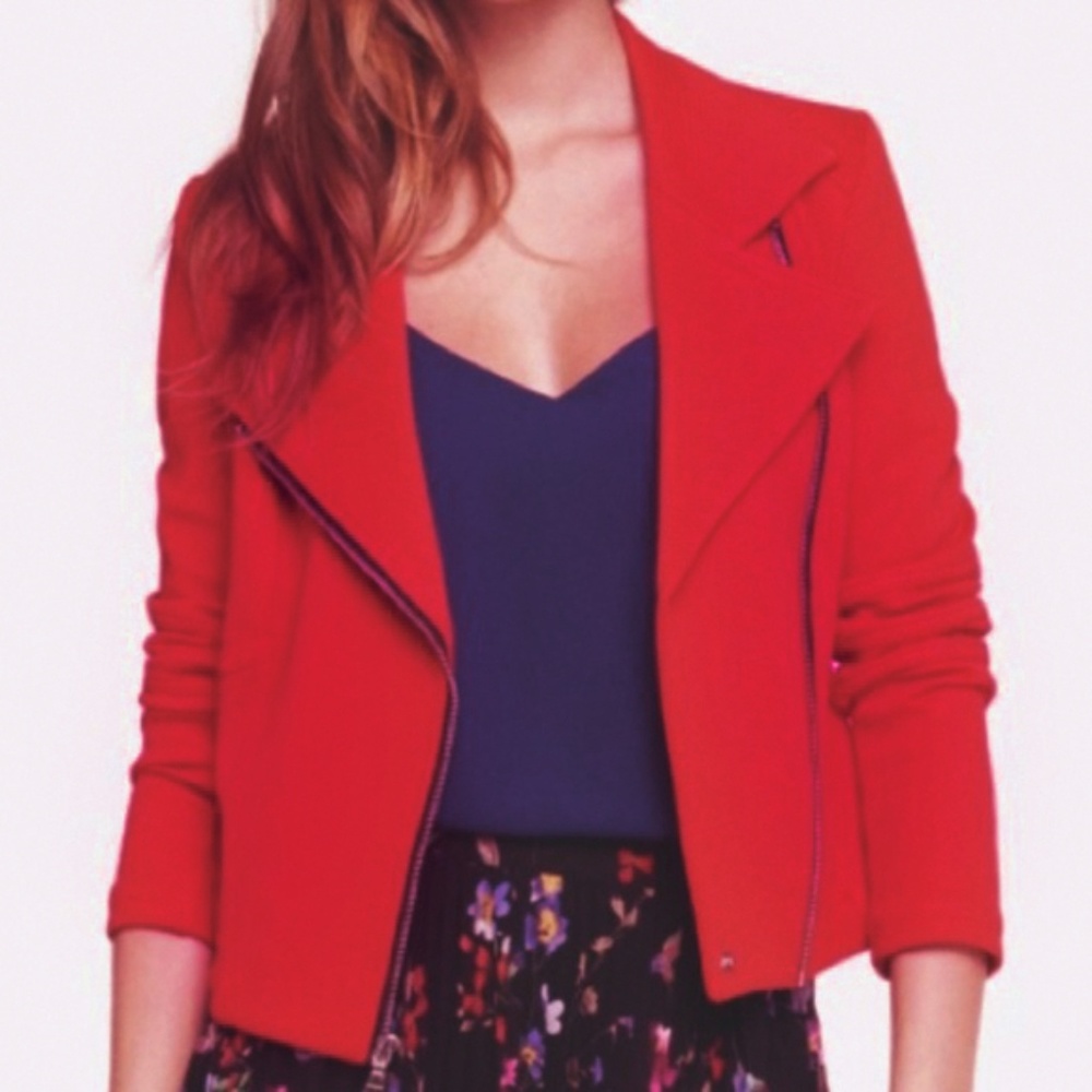 Express Knit Moto Jacket